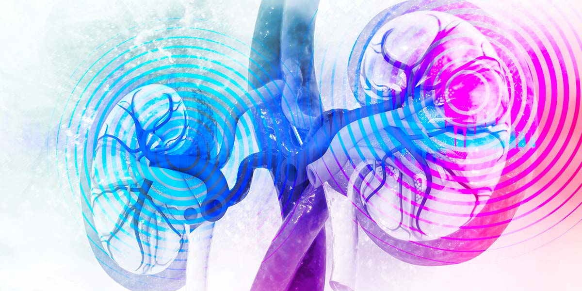 Understanding Renal Ultrasounds • American Health Imaging